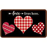 Valentine's Day Doormat Heart Pattern Entrance Mat Bathroom Rugs Non Slip Washable Welcome Mats for Indoor Outdoor Decoration, 28 x 17 Inch