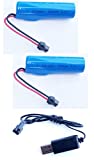 FORCETEKDATA 2 Pack 3.7v 2200mAh ICR18650 Rechargeable Battery with SM 2P Plug & Charge Cable