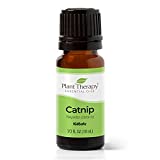 Plant Therapy Catnip Essential Oil 100% Pure, Undiluted, Natural Aromatherapy, Therapeutic Grade 10 mL (1/3 oz)