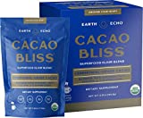 Earth Echo: Cacao Bliss - Organic Chocolate Powder Mix with Cinnamon, Turmeric, MCT Oil and Lucuma for Hot Cocoa, Smoothies and More - 15 Travel-Sized Servings - Daily Health and Energy Support