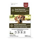 Elanco Chewable Quad Dewormer for Large Dogs, 45 lbs and over, 2 chewable tablets
