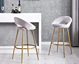 Kmax Lovely 30" Velvet Padded Bar Stools Set of 2 with Gold Metal Legs, Mid Century Modern Bar Stools Low Back for Kitchen Island Home Pub, Silver-Open Back