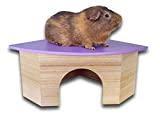 Piggies Choice The Space House All Natural Large Wooden Corner Hideout Guinea Pig and Bunny Hut (Deep Lilac)