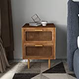 COZAYH Rustic Farmhouse Woven Fronts Nightstand, Spacious Storage End Table with 2 Drawers, Industrial Farmhouse Accent Furniture for Bedroom