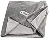 PetFusion Premium Dog Blanket, Cat Blanket | Ultra Soft Pet Blanket Available in Plush or Quilted, 2 Colors (Grey, Brown) | Perfect Blanket for Small Dogs & Large Dogs. 12 Month Warranty