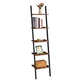 HOOBRO Ladder Shelf, 5-Tier Narrow Bookshelf Leaning-Against-Wall, Stable Plant Flower Stand, Sloping Bookcase, Multipurpose Accent Storage Rack for Living Room, Kitchen, Office, Rustic Brown BF71CJ01