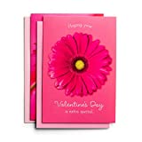 Dayspring Pink Flowers-12 Boxed, KJV Valentine's Day Card