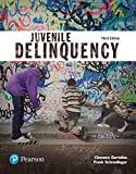 Juvenile Delinquency (Justice Series) (The Justice Series)