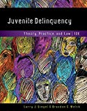 Juvenile Delinquency: Theory, Practice, and Law