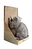 PAWMOSA Cat Scratcher, Vertical Cardboard Cats Scratching Post, Lounge Bed as Furniture Protector and Home Décor Include Free Catnip (Honey)