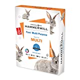 Hammermill Printer Paper, Fore Multipurpose 24 lb Copy Paper, 3 hole - 1 Ream (500 Sheets) - 96 Bright, Made in the USA, 101287