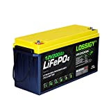 LOSSIGY LiFePO4 Battery 12V 200Ah Deep Cycle Lithium Iron Battery, Maintenance-Free Built-in 100A BMS, 4000+ Cycles, 280Amp Max, Perfectly replace all RV, Solar systems, Marine Batteries Application