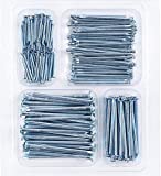 Coceca 200pcs Galvanized Hardware Nails, 4 Size Assortment for pictures hanging, wall and wood