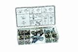 Lumax LX-4841 Gold/Silver (SAE) 1/4"-28 Taper and 1/8" P.T.F. 100 Piece Grease Fitting Assortment. Designed to Meet The demanding Requirements of Most Automotive, Agricultural, Industrial