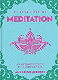 A Little Bit of Meditation: An Introduction to Mindfulness (Volume 7) (Little Bit Series)