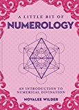 A Little Bit of Numerology: An Introduction to Numerical Divination (Volume 21) (Little Bit Series)