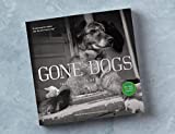 Gone Dogs | Tales of Dogs We've Loved | Color