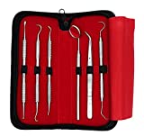 Dream Cut Dental Examination Kit for Dentists & Dental Students | Stainless Steel Oral Care Hygiene Kit for Caries, Cavities & Observation of Teeth with Case (6-Piece-Kit)