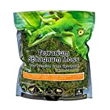 Galpagos (05213) Terrarium Green Sphagnum Moss, Natural, 4 Quart