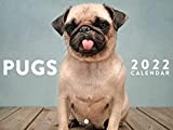 Pugs 2022 Wall Calendar Cute Funny Pug Puppies Dog Breed Adorable Pet Pugs Calendar Large 18 Month Calendar Monthly Full Color Thick Paper Pages Folded Ready To Hang Planner Agenda 18x12 inch