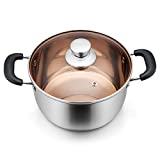 6 QT Pot, P&P CHEF 6-quart Stainless Steel Stockpot with Lid, Bakelite Heat-Proof Double Handles & Brown Glass Lid & Sliver Stainless Steel Pot, Dishwasher Safe