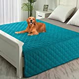 SPXTEX Dog Bed Covers Dog Rugs Pet Pads Puppy Pads Washable Pee Pads for Dog Blankets for Couch Protection Super Soft Pet Bed Covers for Dog Training Pads 1 Piece 52"x82" Aqua