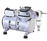 Oilfree Vacuum Pump