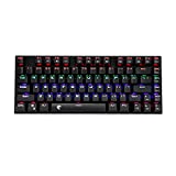 HUO JI 60% Mechanical Gaming Keyboard, E-Yooso Z-88 with Blue Switches, Rainbow LED Backlit, Compact 81 Keys Hot Swappable, Black