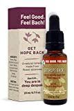 Feel Bach! Flower Essence Remedy Get Hope Back, Natural Remedy That Will Open Your Energies to The Strength and Hope, 20ml, 0.7 Fl Oz