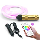 GIDERWEL Smart APP LED Fiber Optic Lights Kit for Car Use/Ceiling Star Lighting,Car Atmosphere lamp 6.5ft 200pcs 0.03in Optical Fiber with RGBW Smart Light Engine,Not WiFi & HUB Required