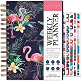 PLANBERRY Weekly Planner – Elegant Life & Budget Planner to Hit Your Goals & Live Happier - Organizer & Productivity Journal – 6.9″ x 8.5″ Hardcover, Undated + Stickers (Rose Flamingo)