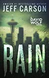 Rain (David Wolf Mystery Thriller Series Book 11)