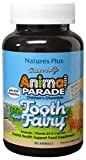 NaturesPlus Animal Parade Source of Life Tooth Fairy Children's Chewable - Natural Vanilla Flavor - 90 Animal Shaped Tablets - Dental Health Supplement - Vegetarian, Gluten-Free - 45 Servings