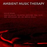 1. New Age Healing Music for Chillout. Relaxation. Meditation...