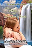 The Baby and the Burned Bride (The Brides of Sioux Falls Book 1)