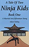 A Tale Of Two Ninja Kids - Book 1 - A Martial Arts Adventure Story