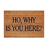 FAGGMY Funny Ho Why is You Here Entryway Outdoor Floor Mat with Heavy-Duty PVC Backing Non Slip Cursive Natural Coconut Coir Brown Mat with Black Font 23.7 x 15.7 inch