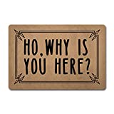 Home Decor Rugs Welcome Mat with Rubber Back (23.7 x 15.9)inch Ho Why Is You Here Door Mat Ho Ho Ho Doormat for Entrance Way Indoor Front Porch Decor Mats for Front Door Entrance No Slip Kitchen Rugs