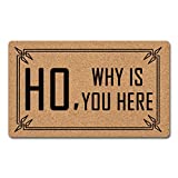 ZXQL Funny Welcome Rug Anti-Slip Rubber Doormats Ho,Why is You Here Funny Halloween Doormat Hello Rug Funny Quote Rubber Door Mats for Entrance Way Indoor and Outdoor30(L) x 18"(W)