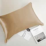 NEWMEIL Copper Pillowcase with 100% Copper Oxide Fiber, Prevents Crow's Feet, Forehead Wrinkles, Fine Lines & Hair Smoothing, Silk Like Soft Pillow Cover ( 18.5 in  27.5 in) (1 pcs)