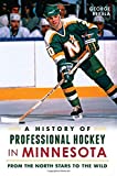 A History of Professional Hockey in Minnesota: From the North Stars to the Wild (Sports)