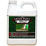 EnviroColor 4EG0032 851612002100 1,000 Sq. Ft. 4EverGreen Grass and Turf Paint, 1000 Square Feet, Green