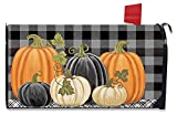 Briarwood Lane Checkered Pumpkins Autumn Large Mailbox Cover Thanksgiving Primitive Oversized