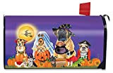 Briarwood Lane Trick or Treat Dogs Halloween Magnetic Mailbox Cover Cat Jack O'Lantern Standard