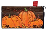 Briarwood Lane Rustic Pumpkin Patch Fall Magnetic Mailbox Cover Autumn Primitive Standard