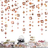 Rose Gold 13th Birthday Decorations Number 13 Circle Dot Twinkle Star Garland Metallic Hanging Streamer Bunting Banner Backdrop for Girls 13 Year Old Birthday Thirteen Official Teenager Party Supplies