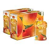 Happy Baby Organics Clearly Crafted Stage 1 Baby Food, Mangoes, 3.5 Ouncee Pouch (Pack of 16)