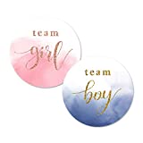 Rose Gold Watercolor Gender Reveal Stickers, 2inch 40 Navy Gold Glitter Team Girl Team Boy Baby Shower Labels Sticker