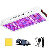 KingLED Newest 2000w LED Grow Lights with LM301B LEDs and 10x Optical Condenser 5x5 ft Coverage Full Spectrum Grow Lights for Indoor Hydroponic Plants Veg Bloom Greenhouse Growing Lamps