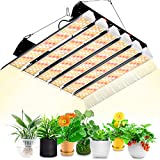 SZHLUX LED Grow Light 2000W 5×5ft Coverage Sunlike Full Spectrum Grow Lamp for Hydroponic Indoor Plants Seeding Veg and Bloom Greenhouse Growing Light Fixture Led Plant Light